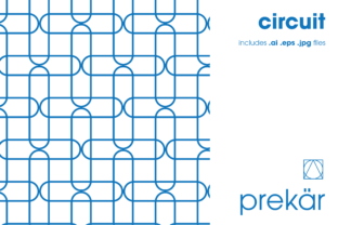 Download Circuit - Premium Resources